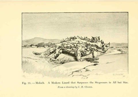 Reproducción/Reproduction 5985155314: Animals of the past New York,McClure, Phillips & Co.,1901