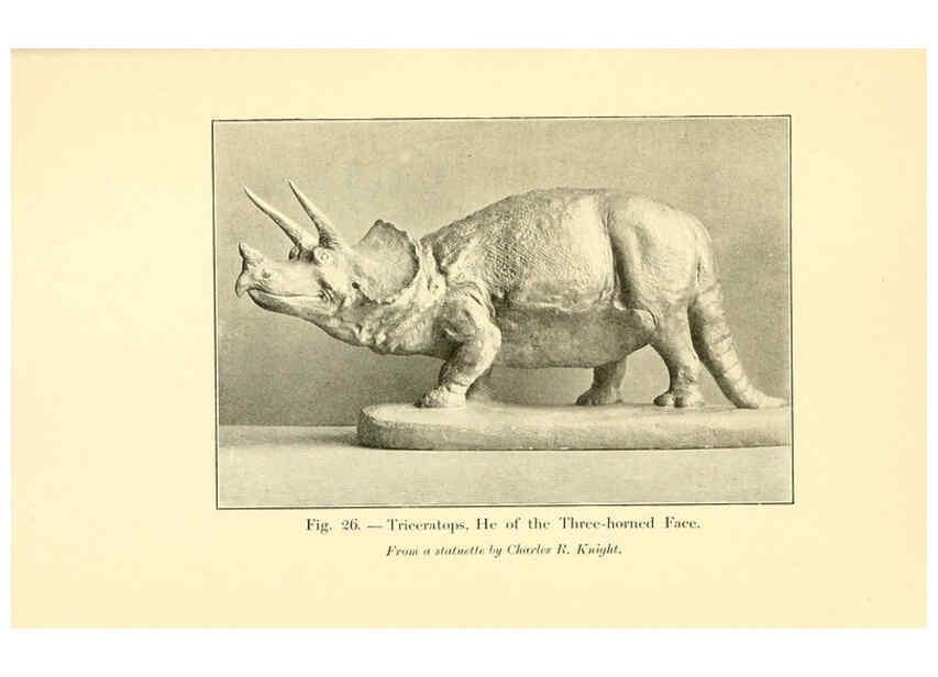 Reproducción/Reproduction 5985156230: Animals of the past New York,McClure, Phillips & Co.,1901