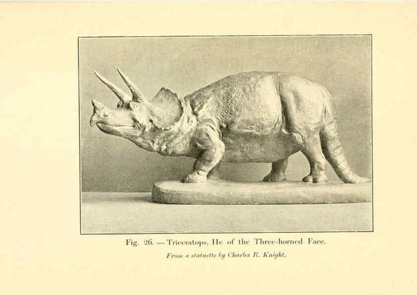Reproducción/Reproduction 5985156230: Animals of the past New York,McClure, Phillips & Co.,1901