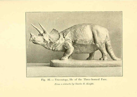 Reproducción/Reproduction 5985156230: Animals of the past New York,McClure, Phillips & Co.,1901