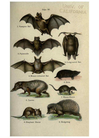 Reproducción/Reproduction 5985361646: The handy natural history Boston,R.G. Badger, The Gorham press,1910