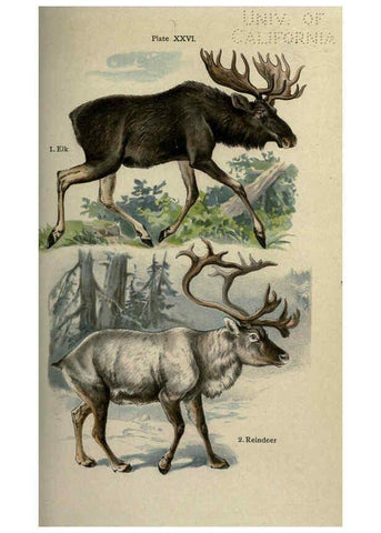 Reproducción/Reproduction 5984804307: The handy natural history Boston,R.G. Badger, The Gorham press,1910