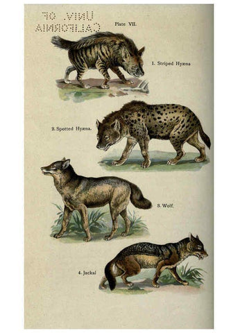 Reproducción/Reproduction 5985362404: The handy natural history Boston,R.G. Badger, The Gorham press,1910