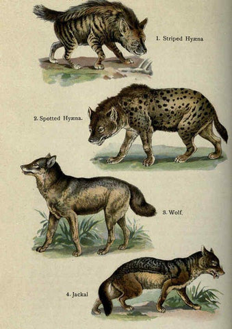Reproducción/Reproduction 5985362404: The handy natural history Boston,R.G. Badger, The Gorham press,1910