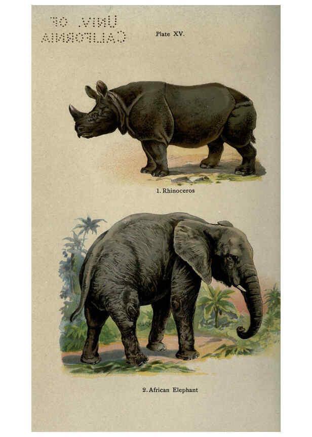 Reproducción/Reproduction 5984801743: The handy natural history Boston,R.G. Badger, The Gorham press,1910