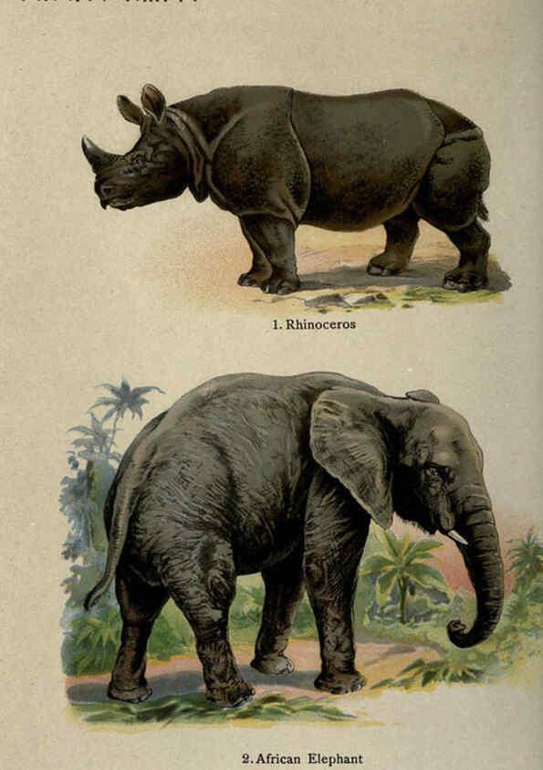 Reproducción/Reproduction 5984801743: The handy natural history Boston,R.G. Badger, The Gorham press,1910