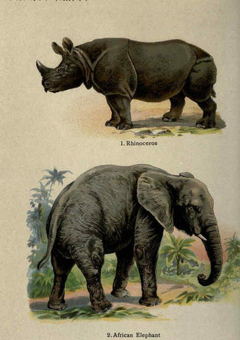 Reproducción/Reproduction 5984801743: The handy natural history Boston,R.G. Badger, The Gorham press,1910