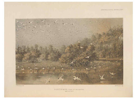 Reproducción/Reproduction 5981488693: Ornithological miscellany V.2 London :Trübner and Co., Bernard Quaritch, R.H. Porter,1876-1878