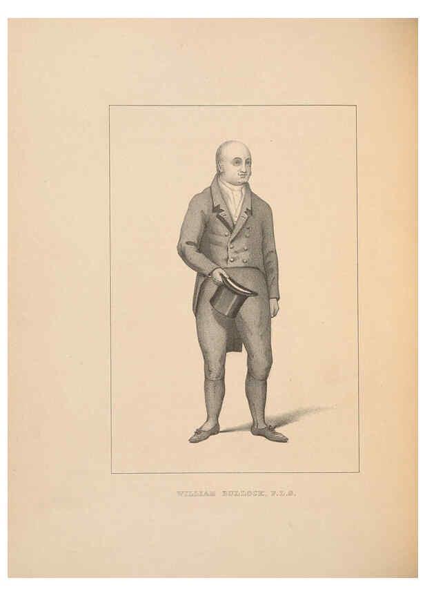 Reproducción/Reproduction 5981494245: Ornithological miscellany V.2 London :Trübner and Co., Bernard Quaritch, R.H. Porter,1876-1878