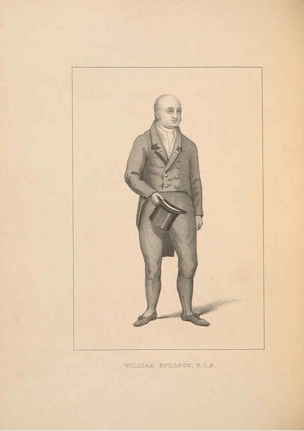 Reproducción/Reproduction 5981494245: Ornithological miscellany V.2 London :Trübner and Co., Bernard Quaritch, R.H. Porter,1876-1878