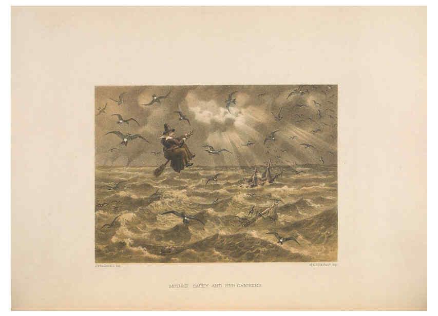 Reproducción/Reproduction 5982053822: Ornithological miscellany V.2 London :Trübner and Co., Bernard Quaritch, R.H. Porter,1876-1878