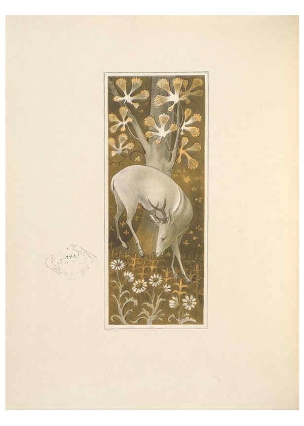 Reproducción/Reproduction 5981478451: Ornithological miscellany V.2 London :Trübner and Co., Bernard Quaritch, R.H. Porter,1876-1878