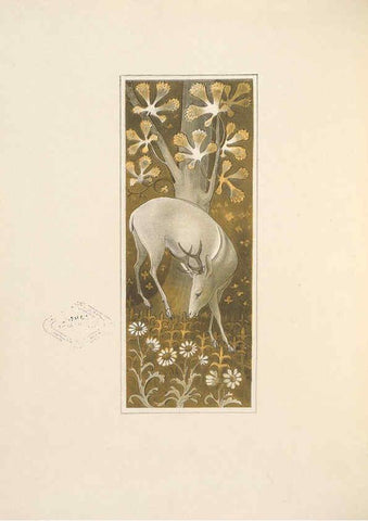 Reproducción/Reproduction 5981478451: Ornithological miscellany V.2 London :Trübner and Co., Bernard Quaritch, R.H. Porter,1876-1878