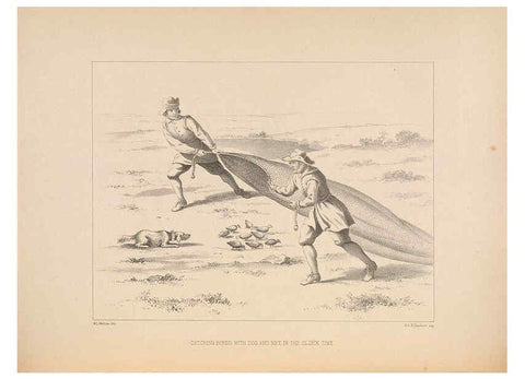Reproducción/Reproduction 5981484511: Ornithological miscellany V.2 London :Trübner and Co., Bernard Quaritch, R.H. Porter,1876-1878