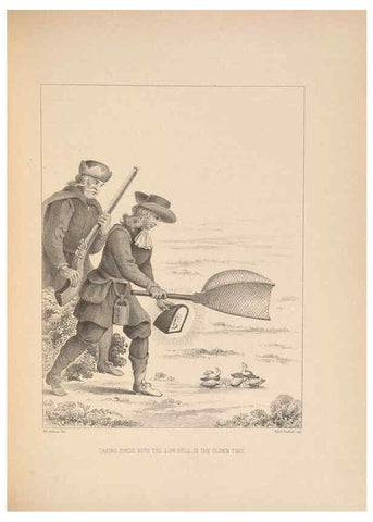 Reproducción/Reproduction 5982044446: Ornithological miscellany V.2 London :Trübner and Co., Bernard Quaritch, R.H. Porter,1876-1878