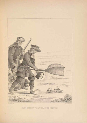 Reproducción/Reproduction 5982044446: Ornithological miscellany V.2 London :Trübner and Co., Bernard Quaritch, R.H. Porter,1876-1878