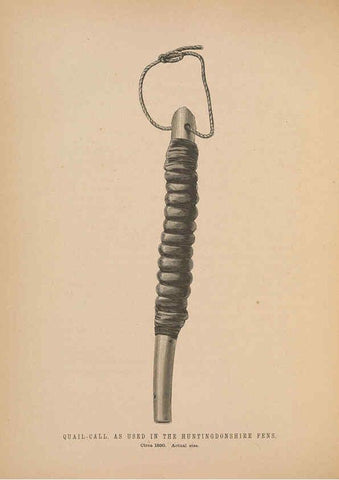 Reproducción/Reproduction 5981485233: Ornithological miscellany V.2 London :Trübner and Co., Bernard Quaritch, R.H. Porter,1876-1878