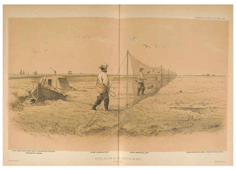 Reproducción/Reproduction 5982045238: Ornithological miscellany V.2 London :Trübner and Co., Bernard Quaritch, R.H. Porter,1876-1878