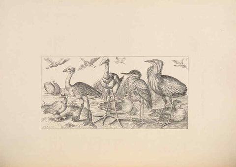 Reproducción/Reproduction 5981495955: Ornithological miscellany V.2 London :Trübner and Co., Bernard Quaritch, R.H. Porter,1876-1878
