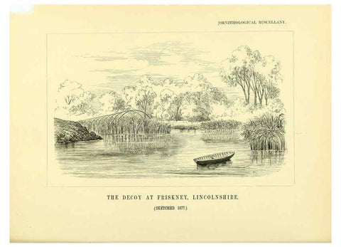 Reproducción/Reproduction 5981546227: Ornithological miscellany V.3 London :Trübner and Co., Bernard Quaritch, R.H. Porter,1876-1878