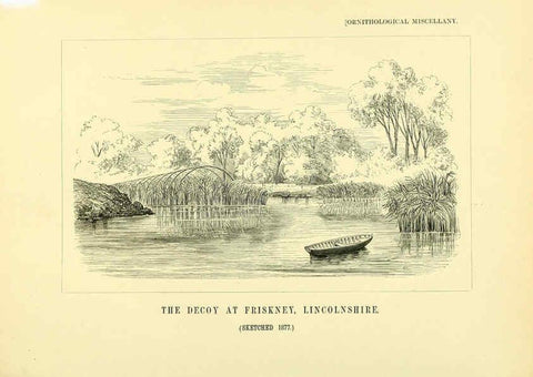 Reproducción/Reproduction 5981546227: Ornithological miscellany V.3 London :Trübner and Co., Bernard Quaritch, R.H. Porter,1876-1878