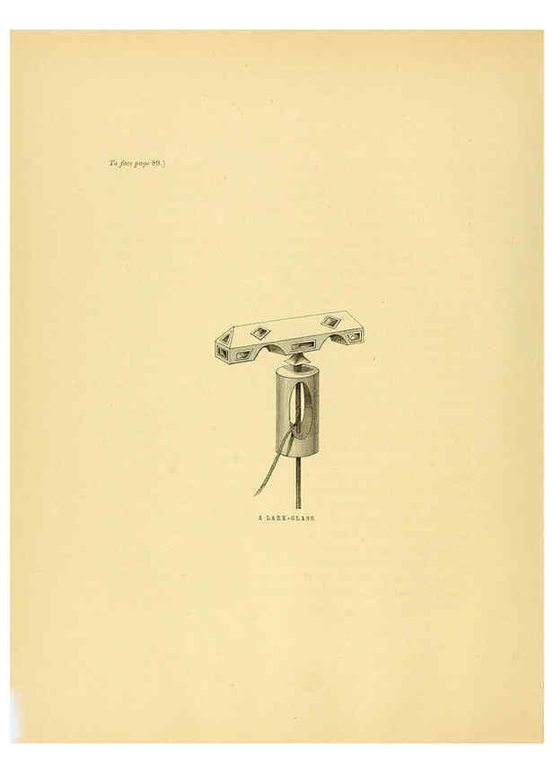 Reproducción/Reproduction 5981516567: Ornithological miscellany V.1 London :Trübner and Co., Bernard Quaritch, R.H. Porter,1876-1878