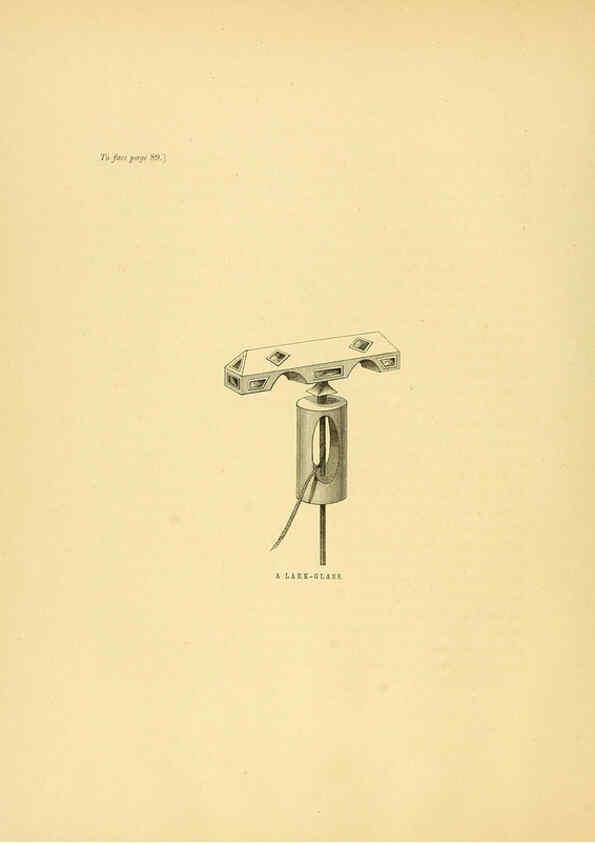 Reproducción/Reproduction 5981516567: Ornithological miscellany V.1 London :Trübner and Co., Bernard Quaritch, R.H. Porter,1876-1878