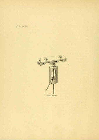 Reproducción/Reproduction 5981516567: Ornithological miscellany V.1 London :Trübner and Co., Bernard Quaritch, R.H. Porter,1876-1878