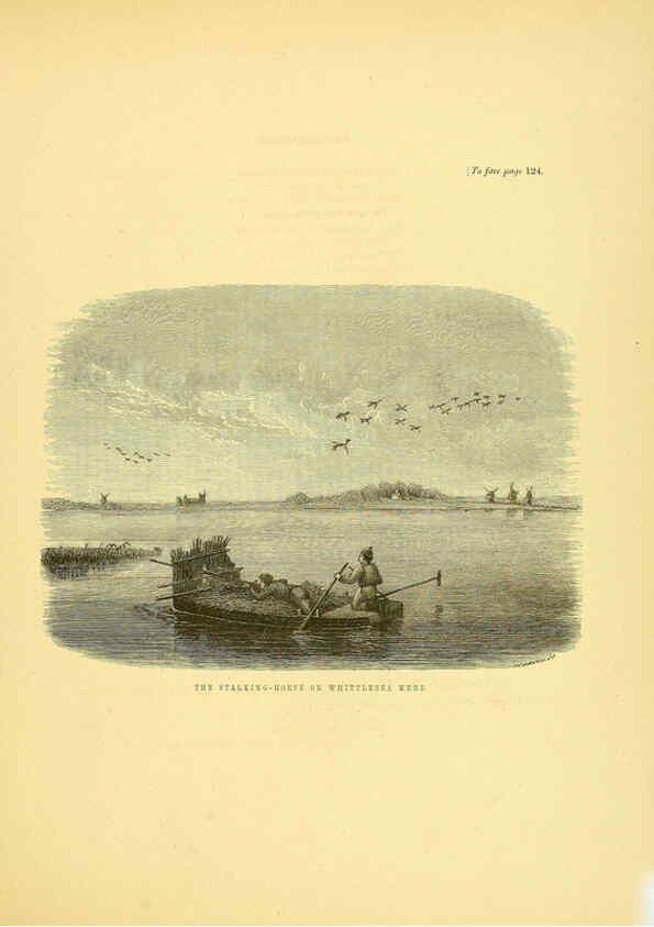 Reproducción/Reproduction 5982077548: Ornithological miscellany V.1 London :Trübner and Co., Bernard Quaritch, R.H. Porter,1876-1878