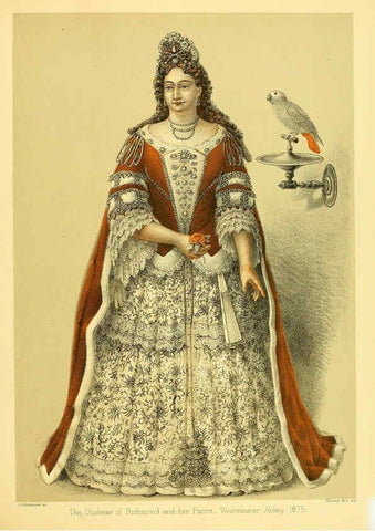 Reproducción/Reproduction 5982079516: Ornithological miscellany V.1 London :Trübner and Co., Bernard Quaritch, R.H. Porter,1876-1878
