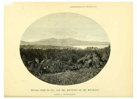 Reproducción/Reproduction 5982104142: Ornithological miscellany V.3 London :Trübner and Co., Bernard Quaritch, R.H. Porter,1876-1878
