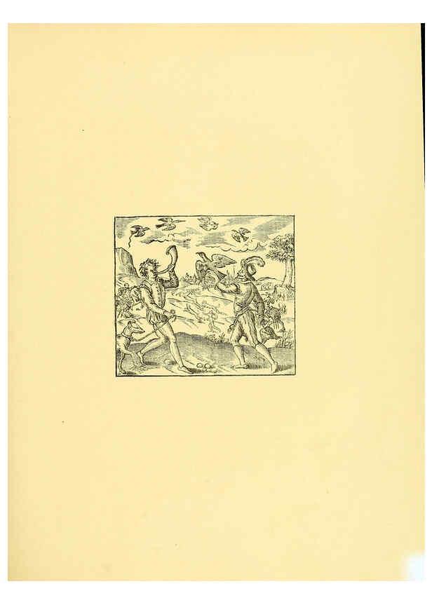 Reproducción/Reproduction 5982080938: Ornithological miscellany V.1 London :Trübner and Co., Bernard Quaritch, R.H. Porter,1876-1878