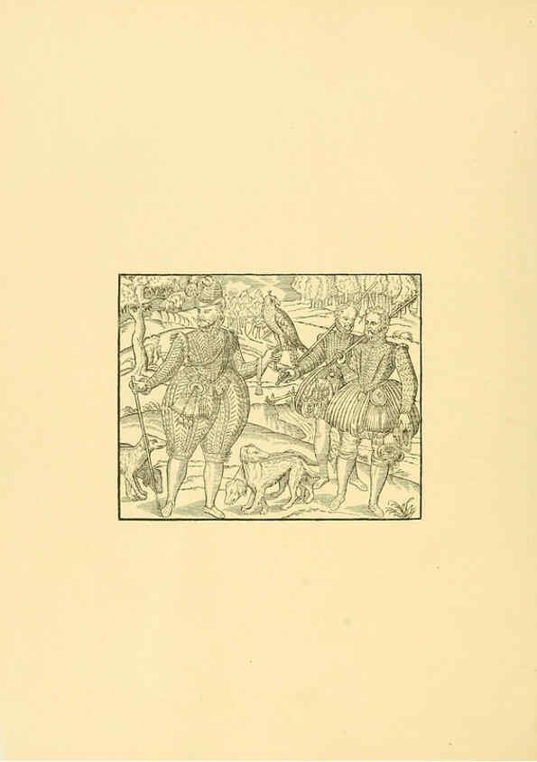 Reproducción/Reproduction 5981521831: Ornithological miscellany V.1 London :Trübner and Co., Bernard Quaritch, R.H. Porter,1876-1878