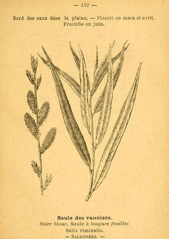 Reproducción/Reproduction 6022605232: Atlas de poche des plantes des champs, des prairies et des bois Paris :P. Klincksieck,[1894] 