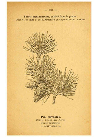 Reproducción/Reproduction 6022607496: Atlas de poche des plantes des champs, des prairies et des bois Paris :P. Klincksieck,[1894] 