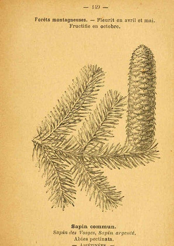 Reproducción/Reproduction 6022050463: Atlas de poche des plantes des champs, des prairies et des bois Paris :P. Klincksieck,[1894] 