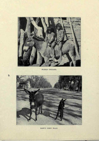 Reproducción/Reproduction 6025805420: The Burro book Pueblo, Colo. :S.M. McCandless,c1900