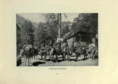 Reproducción/Reproduction 6025250603: The Burro book Pueblo, Colo. :S.M. McCandless,c1900