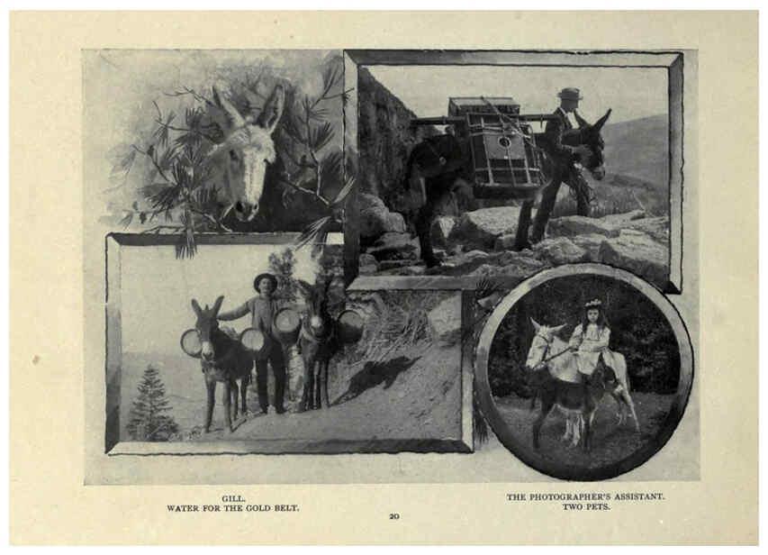 Reproducción/Reproduction 6025805868: The Burro book Pueblo, Colo. :S.M. McCandless,c1900