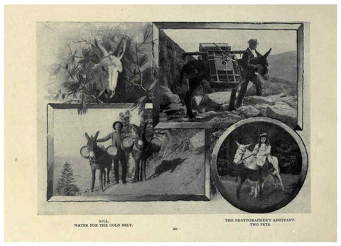 Reproducción/Reproduction 6025805868: The Burro book Pueblo, Colo. :S.M. McCandless,c1900