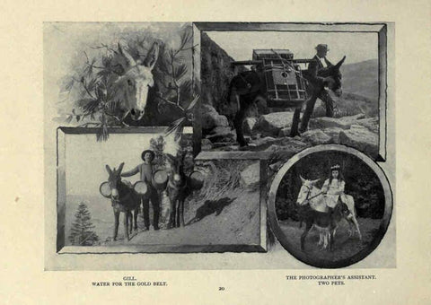 Reproducción/Reproduction 6025805868: The Burro book Pueblo, Colo. :S.M. McCandless,c1900