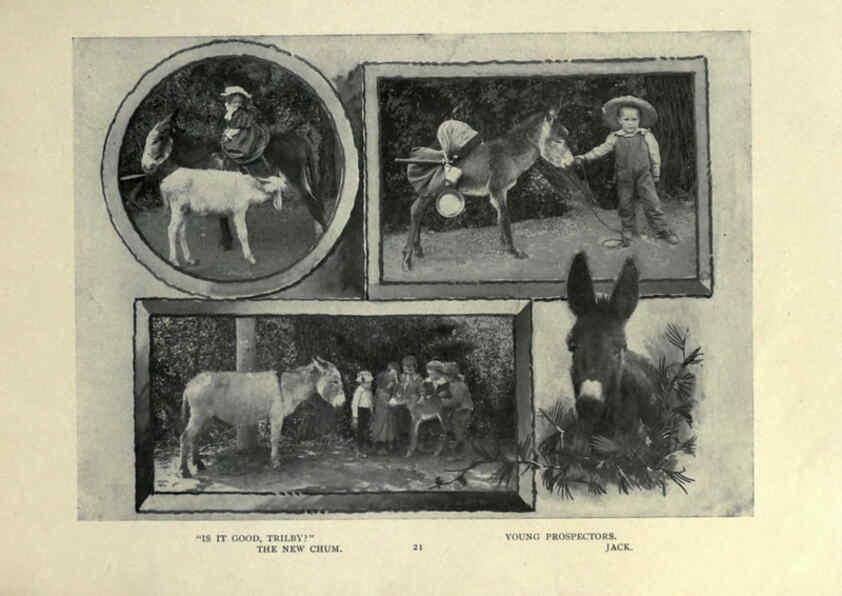 Reproducción/Reproduction 6025250977: The Burro book Pueblo, Colo. :S.M. McCandless,c1900