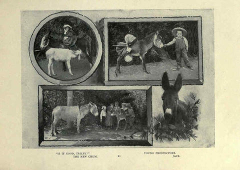 Reproducción/Reproduction 6025250977: The Burro book Pueblo, Colo. :S.M. McCandless,c1900
