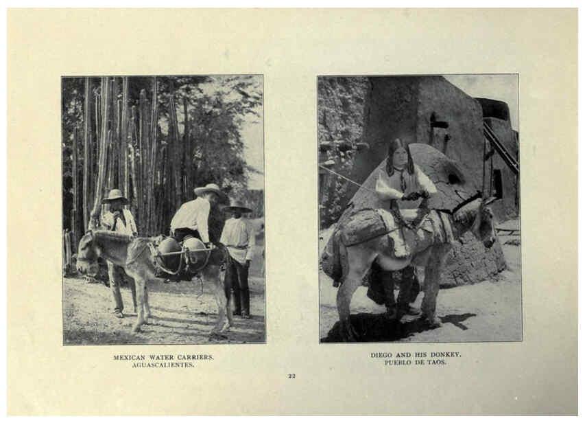 Reproducción/Reproduction 6025251133: The Burro book Pueblo, Colo. :S.M. McCandless,c1900