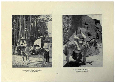 Reproducción/Reproduction 6025251133: The Burro book Pueblo, Colo. :S.M. McCandless,c1900