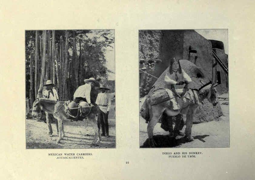 Reproducción/Reproduction 6025251133: The Burro book Pueblo, Colo. :S.M. McCandless,c1900