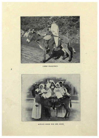Reproducción/Reproduction 6025251457: The Burro book Pueblo, Colo. :S.M. McCandless,c1900