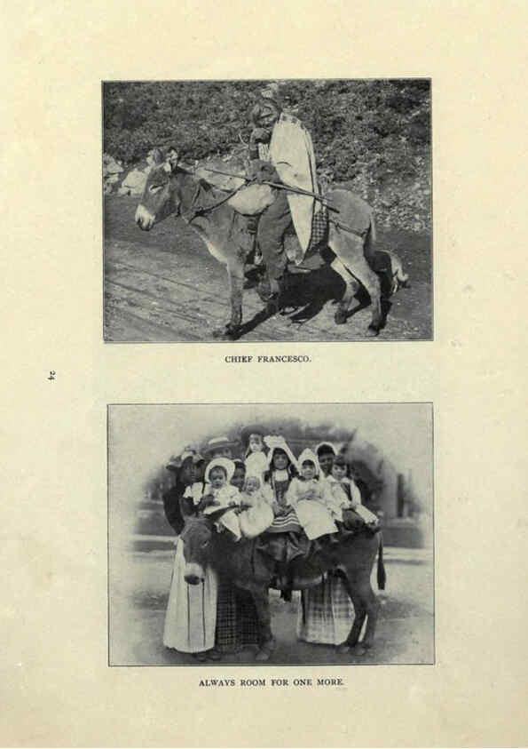 Reproducción/Reproduction 6025251457: The Burro book Pueblo, Colo. :S.M. McCandless,c1900