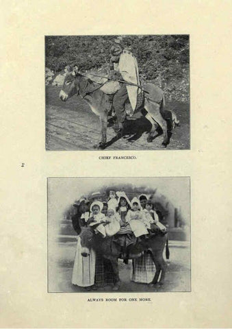 Reproducción/Reproduction 6025251457: The Burro book Pueblo, Colo. :S.M. McCandless,c1900