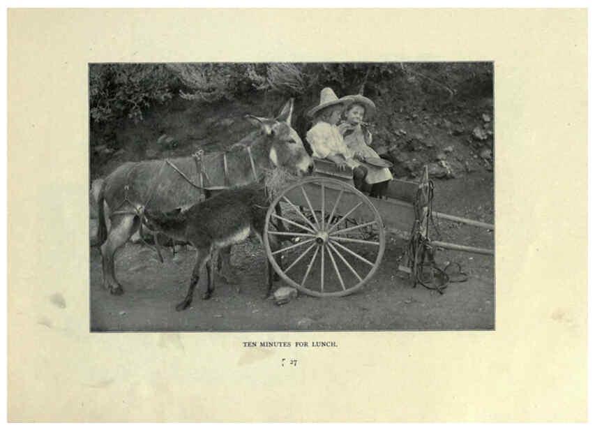 Reproducción/Reproduction 6025807130: The Burro book Pueblo, Colo. :S.M. McCandless,c1900